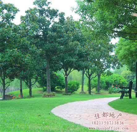 ��������԰���ֶ�����д��¥��